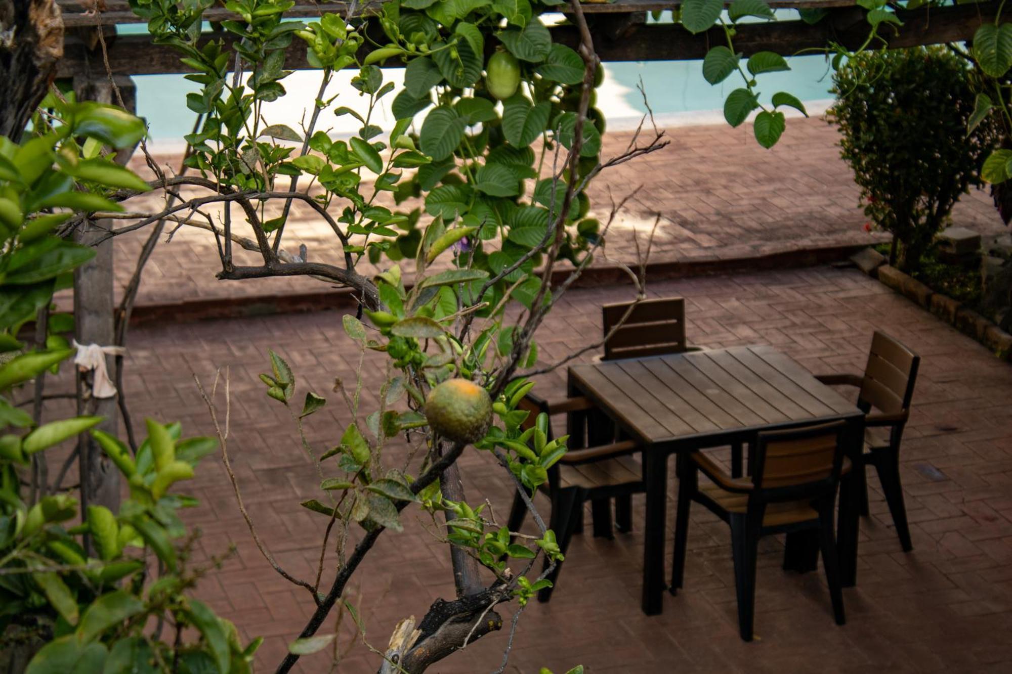 Volcano Hostal Y Restaurante San Salvador Extérieur photo